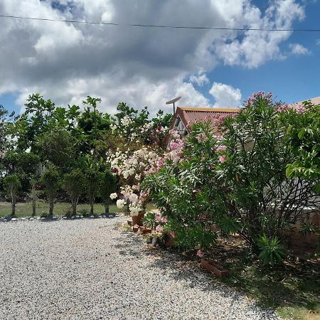 Le Diamant Charmante Villa Pour La Famille Ou Entre Amis Spa Et Piscine Bagian luar foto